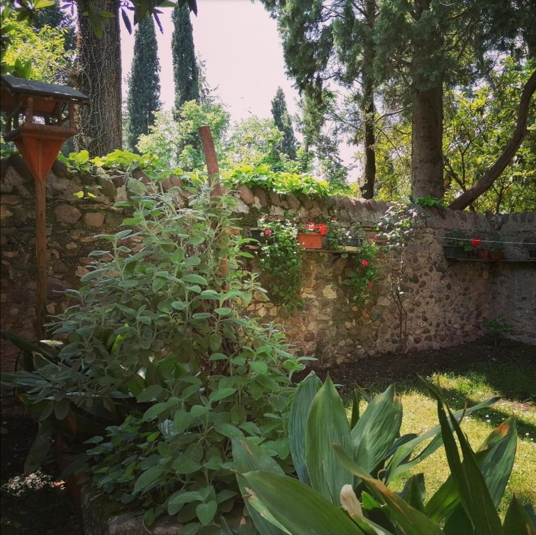 La Casa Di Marzia Lägenhet Bardolino Exteriör bild
