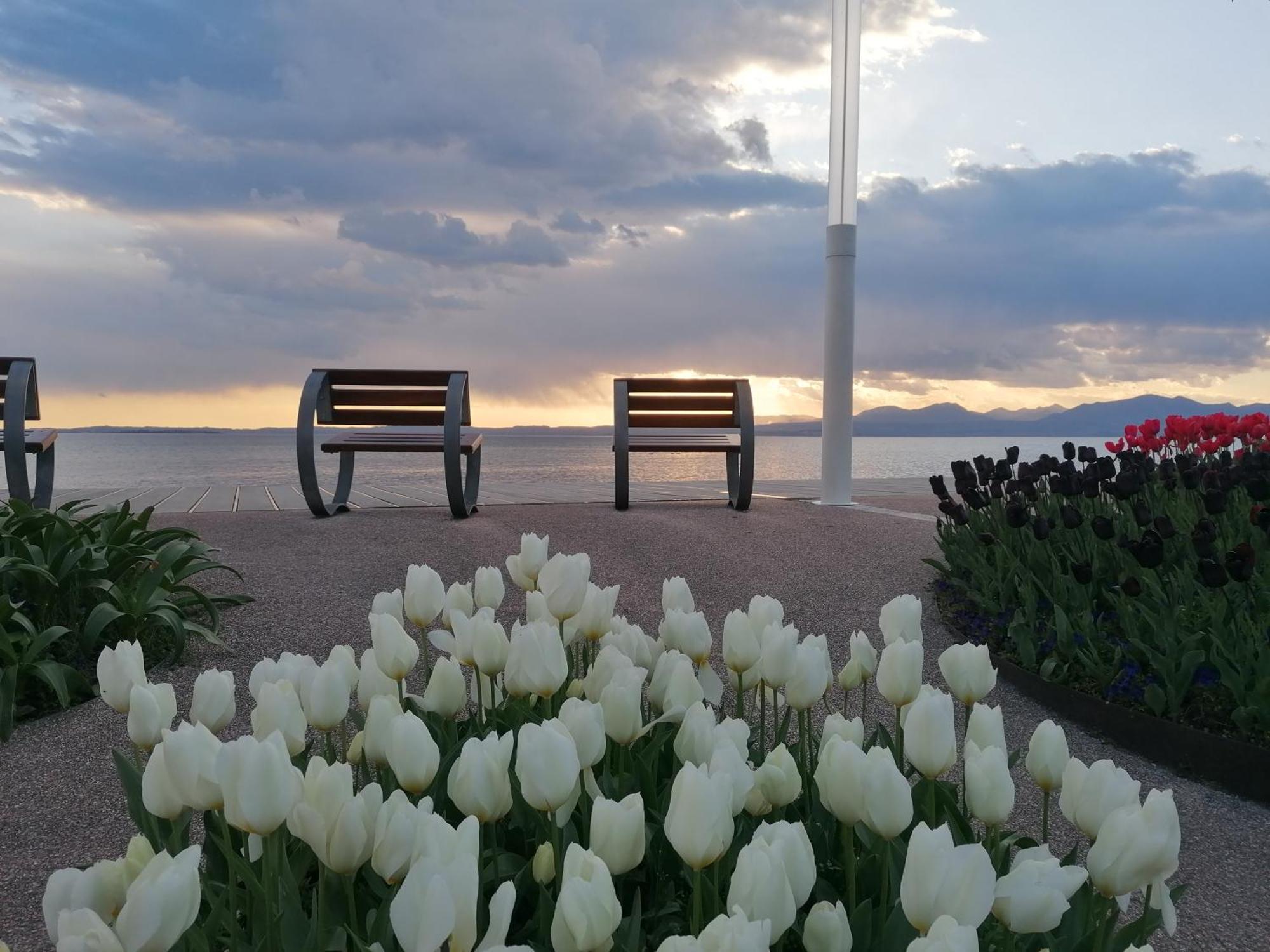 La Casa Di Marzia Lägenhet Bardolino Exteriör bild
